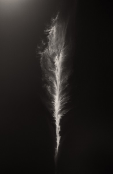 Light as a Feather - Santa Nella, California - May 2013