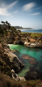 Point Lobos State Reserve, California - June 2007